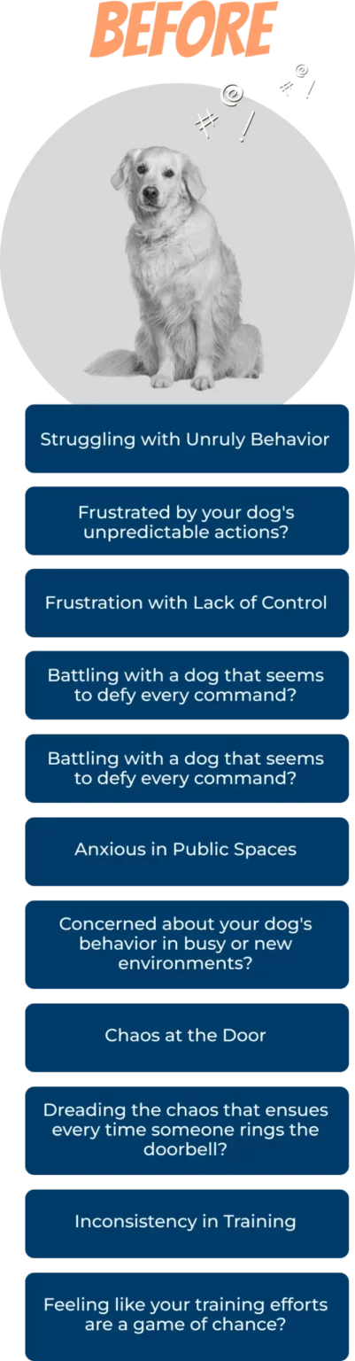 A marketing graphic titled 'Before' shows the same Golden Retriever in black and white, surrounded by text listing unruly, hard-to-control behaviors owners in Springfield, MO struggle with before training.