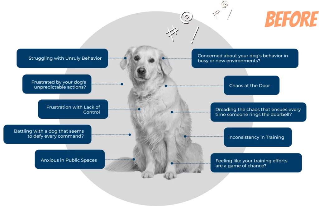 A wide-format 'Before' graphic pairs the same black-and-white Golden Retriever photo with call-out boxes listing common behavior struggles like door chaos and inconsistent training, aimed at Springfield, MO dog owners.