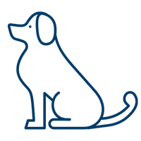 A simple blue line-art icon of a dog sitting attentively, used to represent an obedience training program.