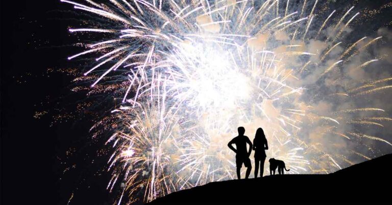 Surviving Fourth of July: Helping Your Dog Cope with Fireworks and Noise Anxiety