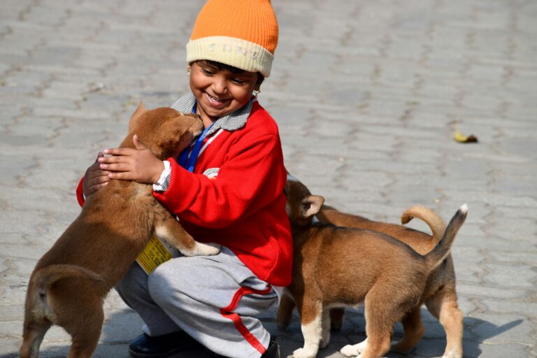 Training Tips for Families With Kids and Dogs