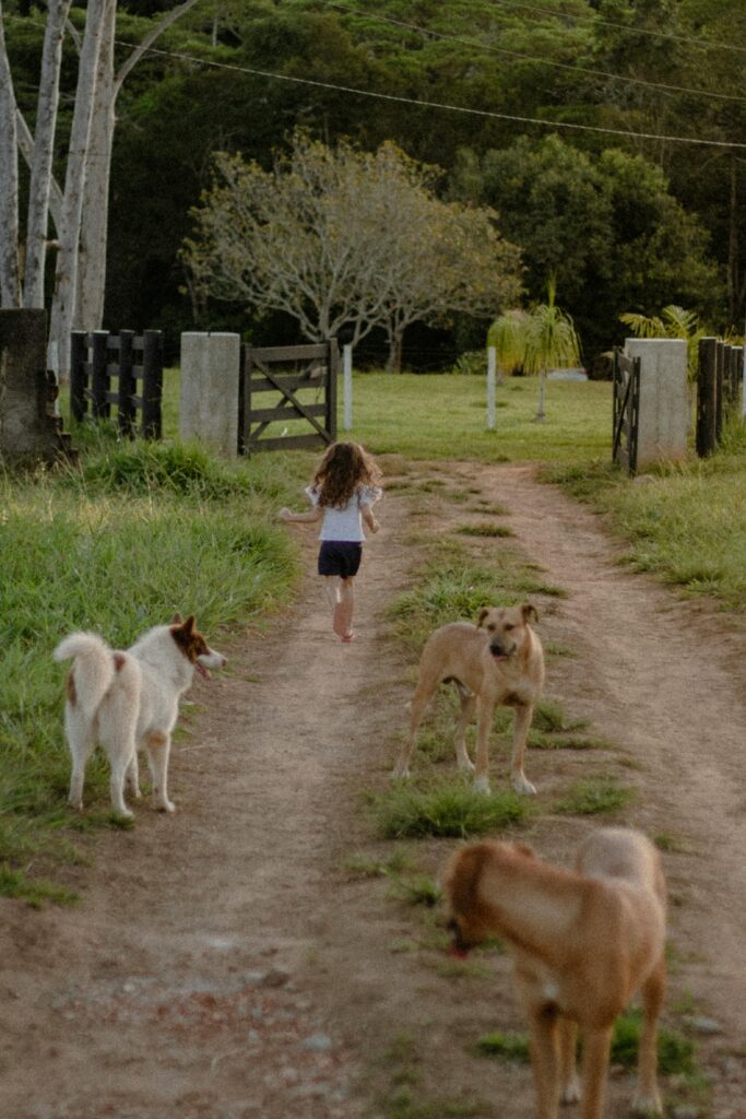 Training Tips for Families With Kids and Dogs