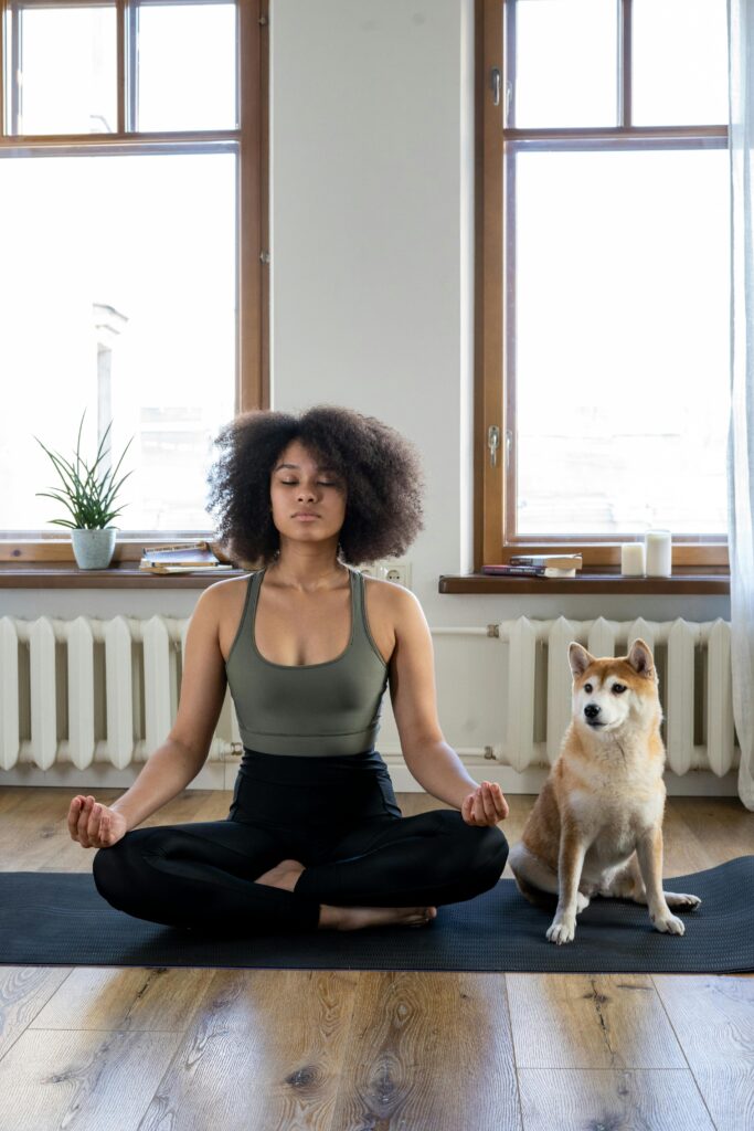 Busy Dog Owners: Proven Ways to Reinforce Training 