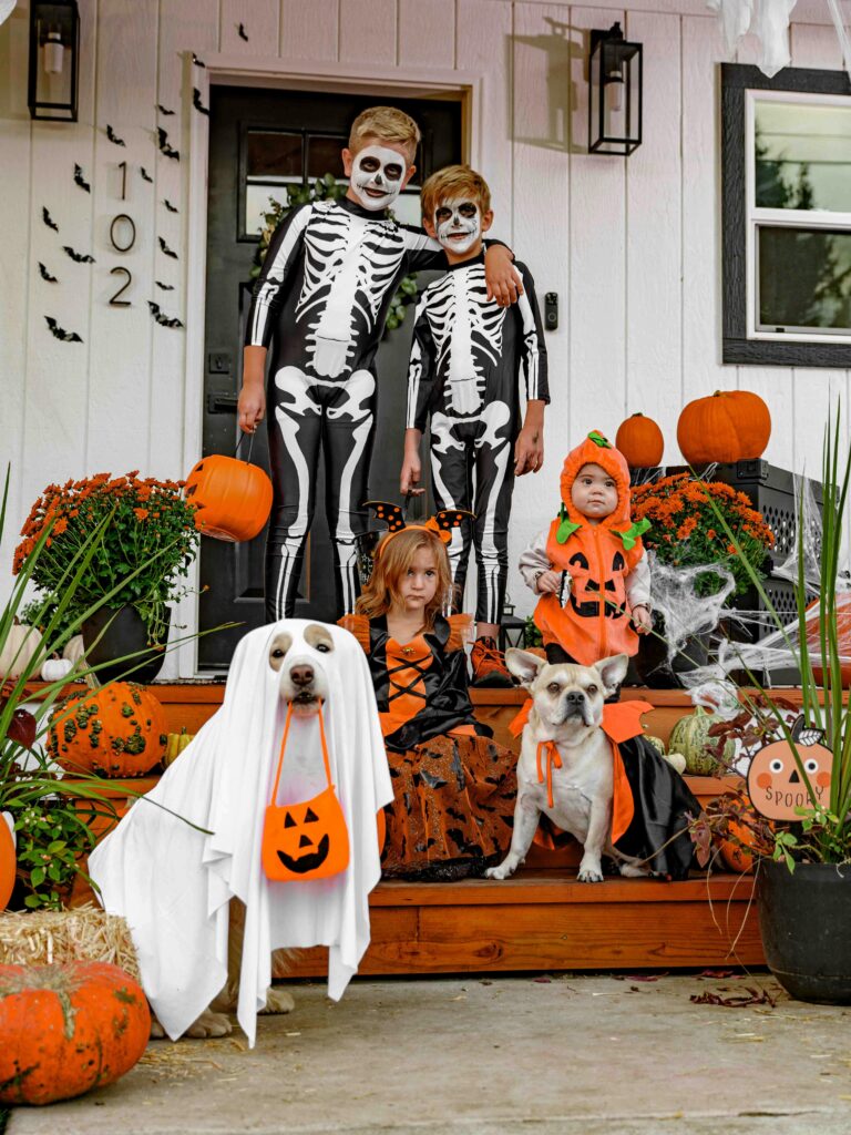 Spooky Halloween with Dogs: Fun Costumes, Candy, and Chaos
