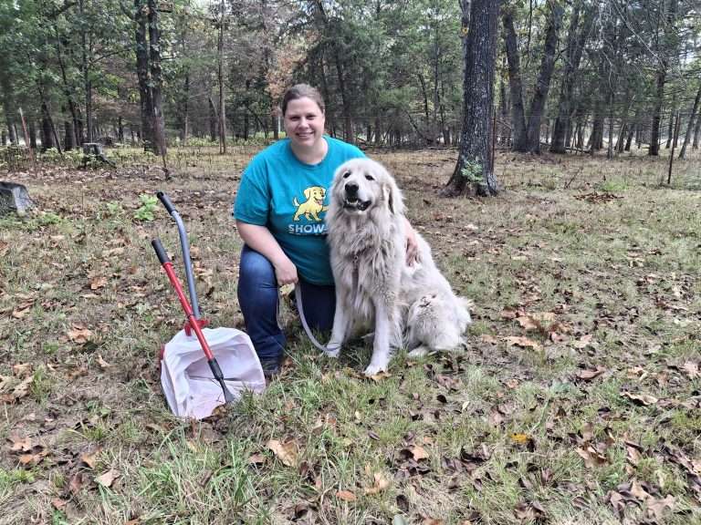 The Role of Pet Waste Removal in Responsible Dog Ownership