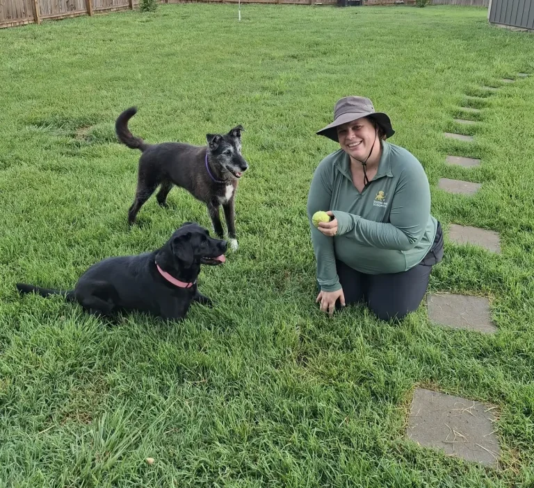 The Role of Pet Waste Removal in Responsible Dog Ownership