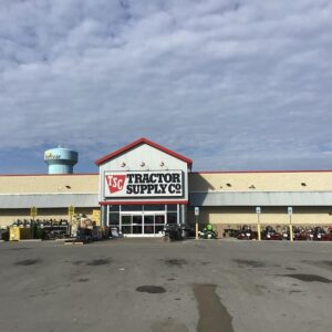 Dog practicing store manners for dogs on leash inside a dog-friendly store in SW Missouri