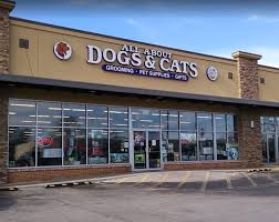 Dog practicing pet store manners on leash in Springfield during spring shopping