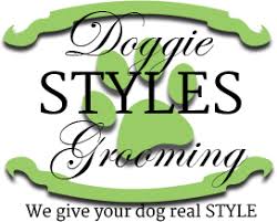 Dog practicing grooming appointment training with calm brushing and a relaxed down-stay