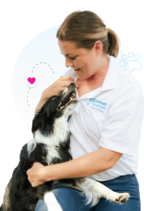 Dog practicing calm mobile grooming training with calm brushing at home in Springfield, MO