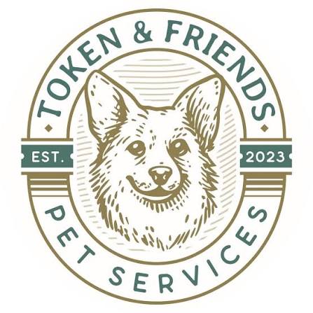 Back-to-school dog training for a calm dog in Springfield Missouri