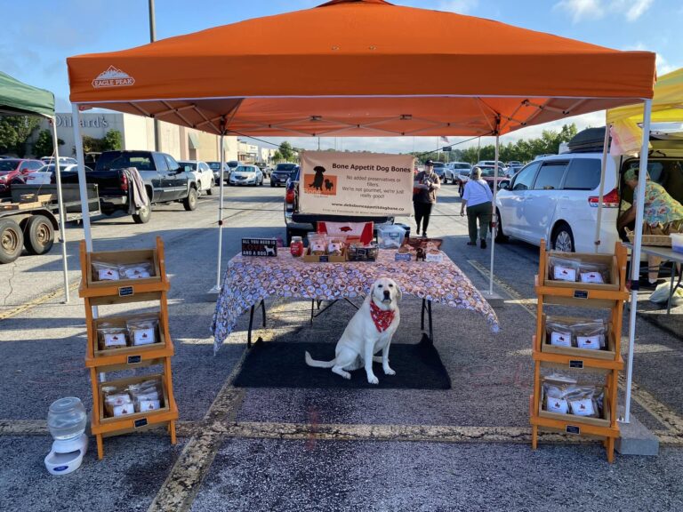 Dog training treats for focused obedience training in Springfield MO